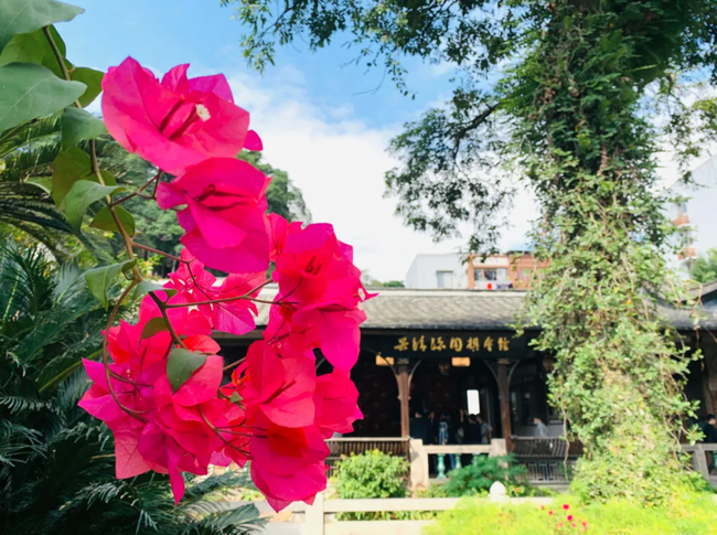 吴清源围棋会馆