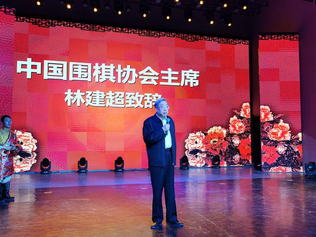 中国围棋协会主席林建超