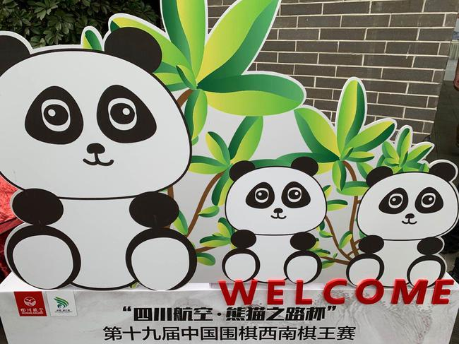 第十九届中国围棋西南棋王赛完美收官