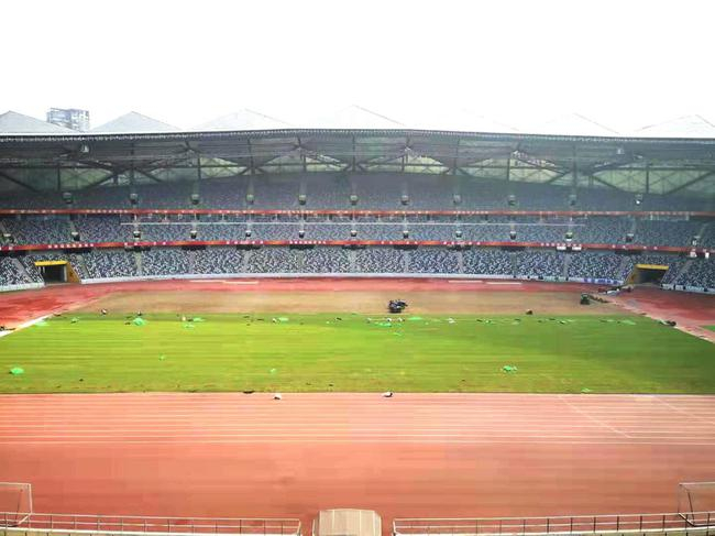 龙岗大运中心换草