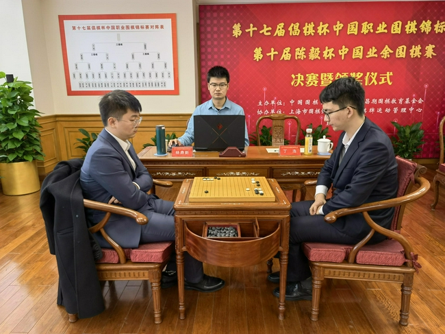 倡棋杯决赛次局杨鼎新VS丁浩