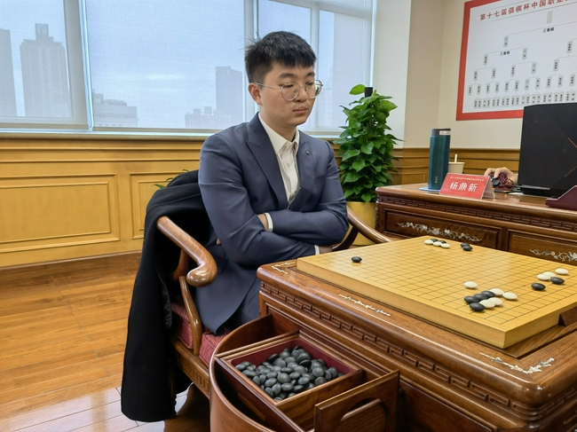 杨鼎新九段