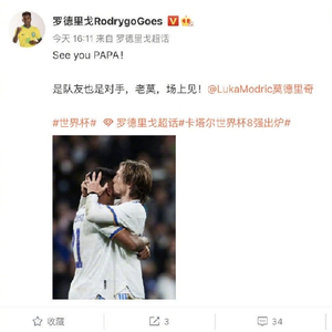 12博体育app