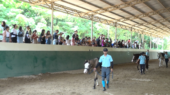 星星的孩子和家长们在现场观看和了解马术康复课程