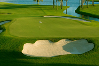 凯迪拉克回归美巡 赞助特朗普球场$2000万顶流赛事