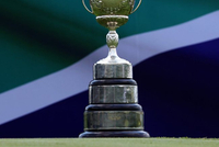 南非公开赛丁文一瑞德亮剑 埃尔斯率领本土军团