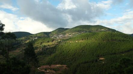 龙凤小学就坐落在半山腰上