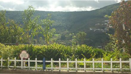 龙凤小学校墙外的风景
