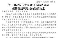 足协开重磅罚单 国安张稀哲被停赛7场+罚款7万
