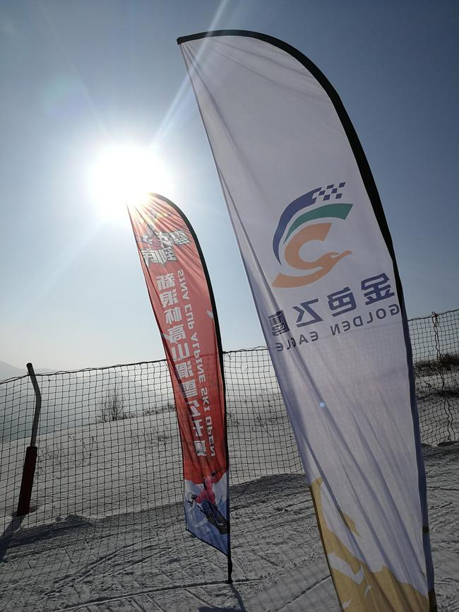 新浪杯指定线上报名系统金色飞鹰