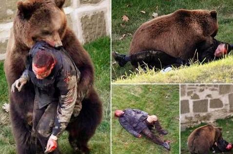 真实的画面……