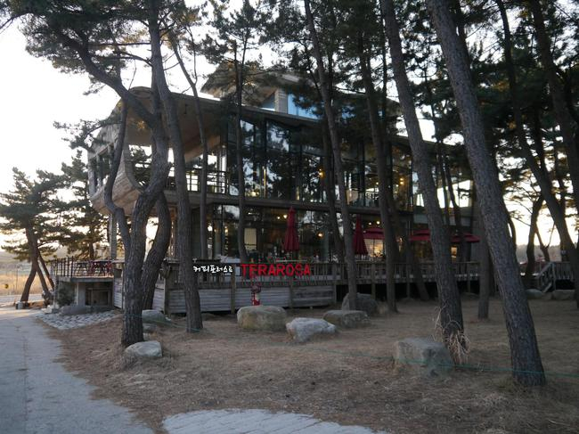 Terarosa另一家分店