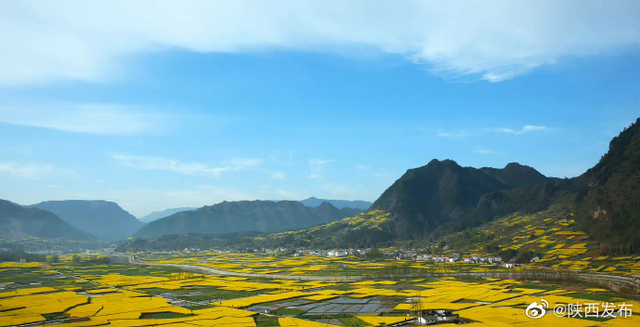 来汉中赏最美油菜花海_新浪图片
