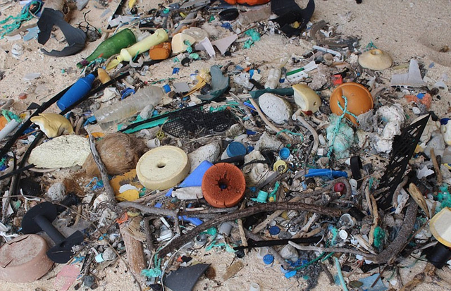 无人岛竟成垃圾场 破坏生态引关注