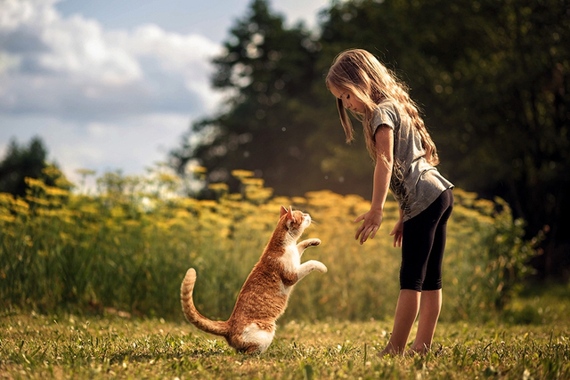 最具治愈心灵的照片 温馨镜头下的暖意