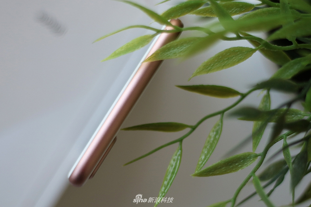 这个配色我服 iPhone 8/8 Plus开箱图赏