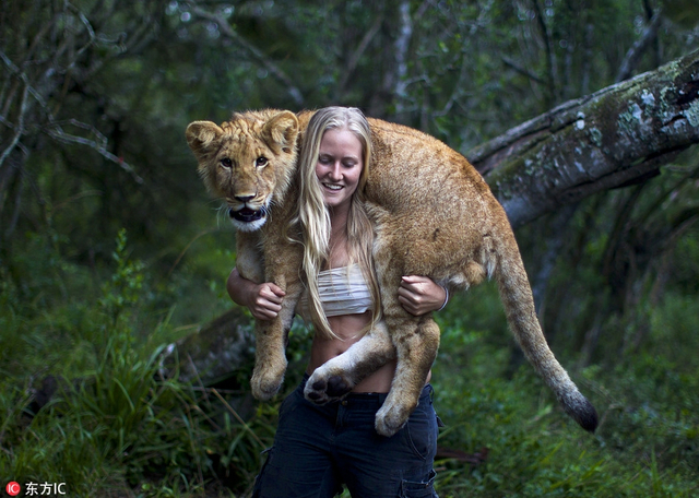 16           tamblyn williams 和狮子.