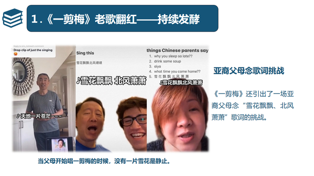 无厘头研究报告