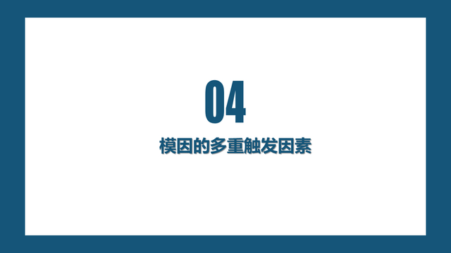 无厘头研究报告