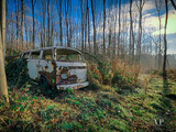 老去之后还是那么的美丽 被丢弃在森林的老车