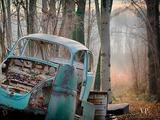 老去之后还是那么的美丽 被丢弃在森林的老车