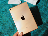 经典外观配上强劲芯 新iPad mini平板电脑实拍图赏
