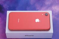 国行版iPhone XR首次跌破5000元!这价格有点给力