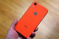 疫情爆发印度受严重影响:iPhone XR生产陷入停滞
