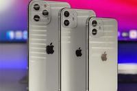 苹果将在2021年初推出一款更便宜的iPhone 12