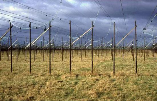  休伊什与贝尔建造的射电望远镜