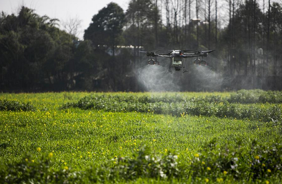 ▲2020年2月25日，在四川省崇州市崇庆街道红桥村，植保无人机进行农药喷洒作业。图/新华社发