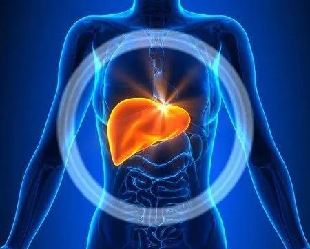 图片来源：123RF