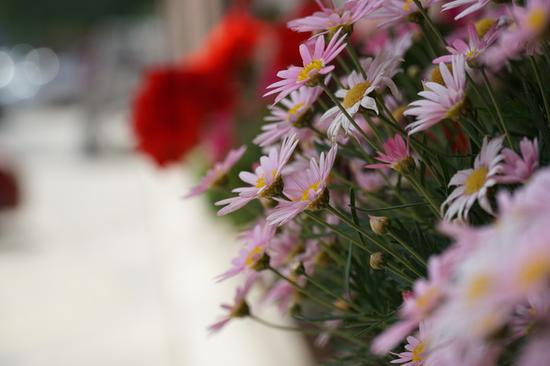 焦距：78mm　 光圈：f/5.6　 ISO感光度：100