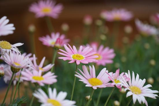 焦距：114mm　 光圈：f/5.6　 ISO感光度：200