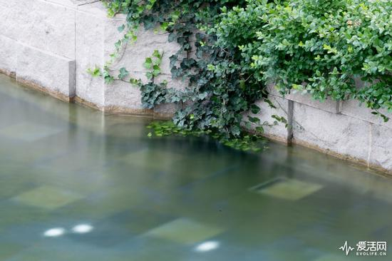 拍摄器材：松下GH5 拍摄参数：F22 ISO 100 10s 100mm（果冻般凝固）