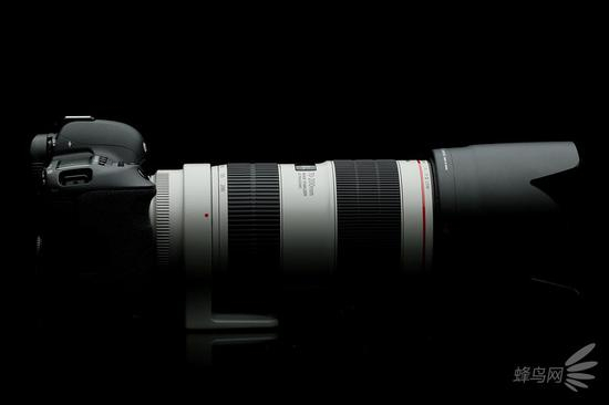 佳能EF 70-200mm f/2.8L IS III USM装载遮光罩搭配佳能EOS 5D Mark IV