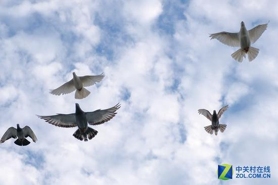 相机仍然可以为你带来回归摄影本质的乐趣