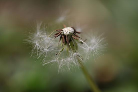 焦距：100mm　 光圈：f/3.2　 ISO感光度：200