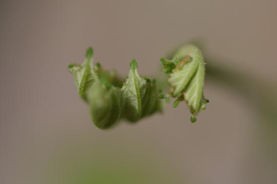 焦距：100mm　 光圈：f/2.8　 ISO感光度：400