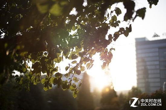 f/1.2下眩光表现