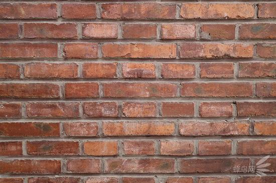 佳能RF 35mm f/1.8 MACRO的开启机内矫正实拍