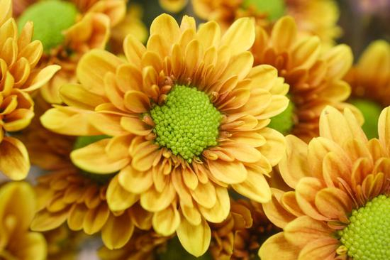 焦距：35mm　 光圈：f/5.6　 ISO感光度：2500