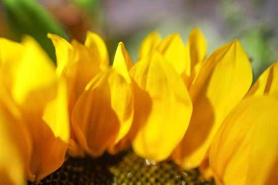 焦距：35mm　 光圈：f/2.8　 ISO感光度：1250