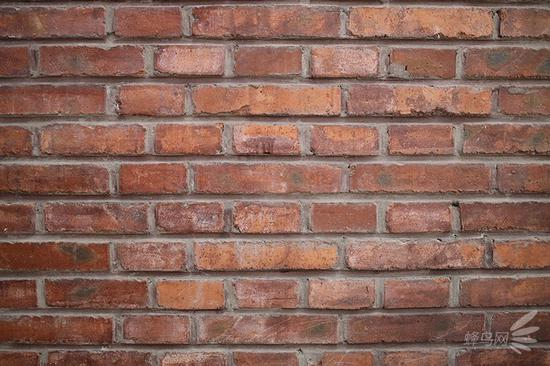 佳能RF 35mm f/1.8 MACRO的关闭机内矫正实拍