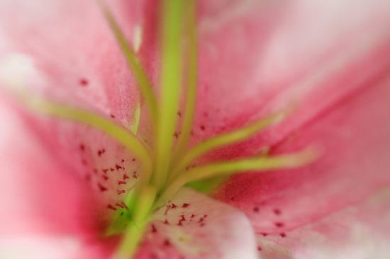 焦距：35mm　 光圈：f/5.6　 ISO感光度：4000