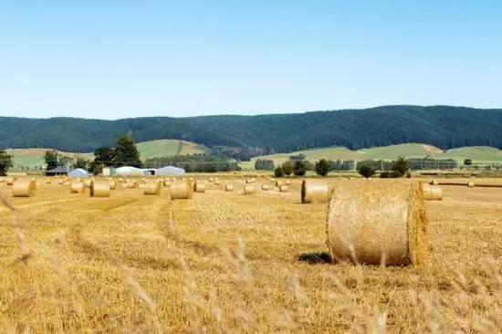 图片来源：视觉中国