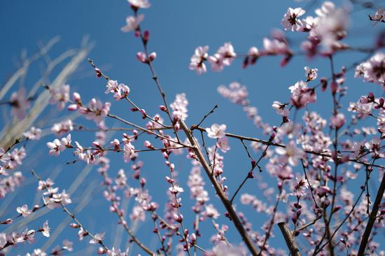 焦距：28mm　 光圈：f/1.7　 ISO感光度：50