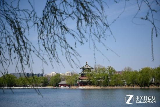 尼康Z&nbsp;24-70mm f/2.8 S镜头实拍样片