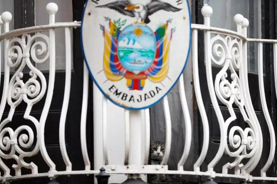 阿桑奇的猫 | Reuter