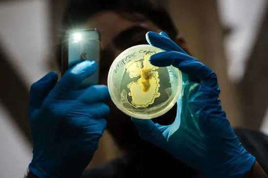 ▲ 图片来自：NYTimes